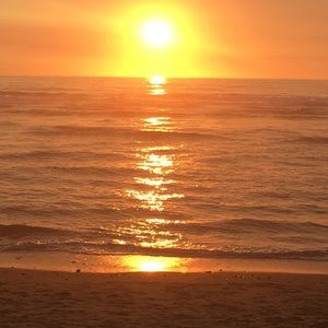 Meet your Posher, Lucia